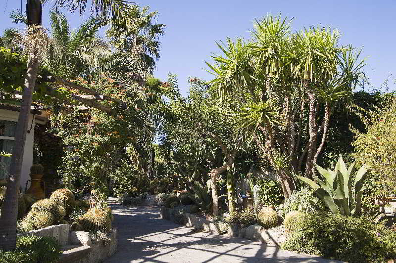 Park Hotel Terme Mediterraneo Forio  Luaran gambar