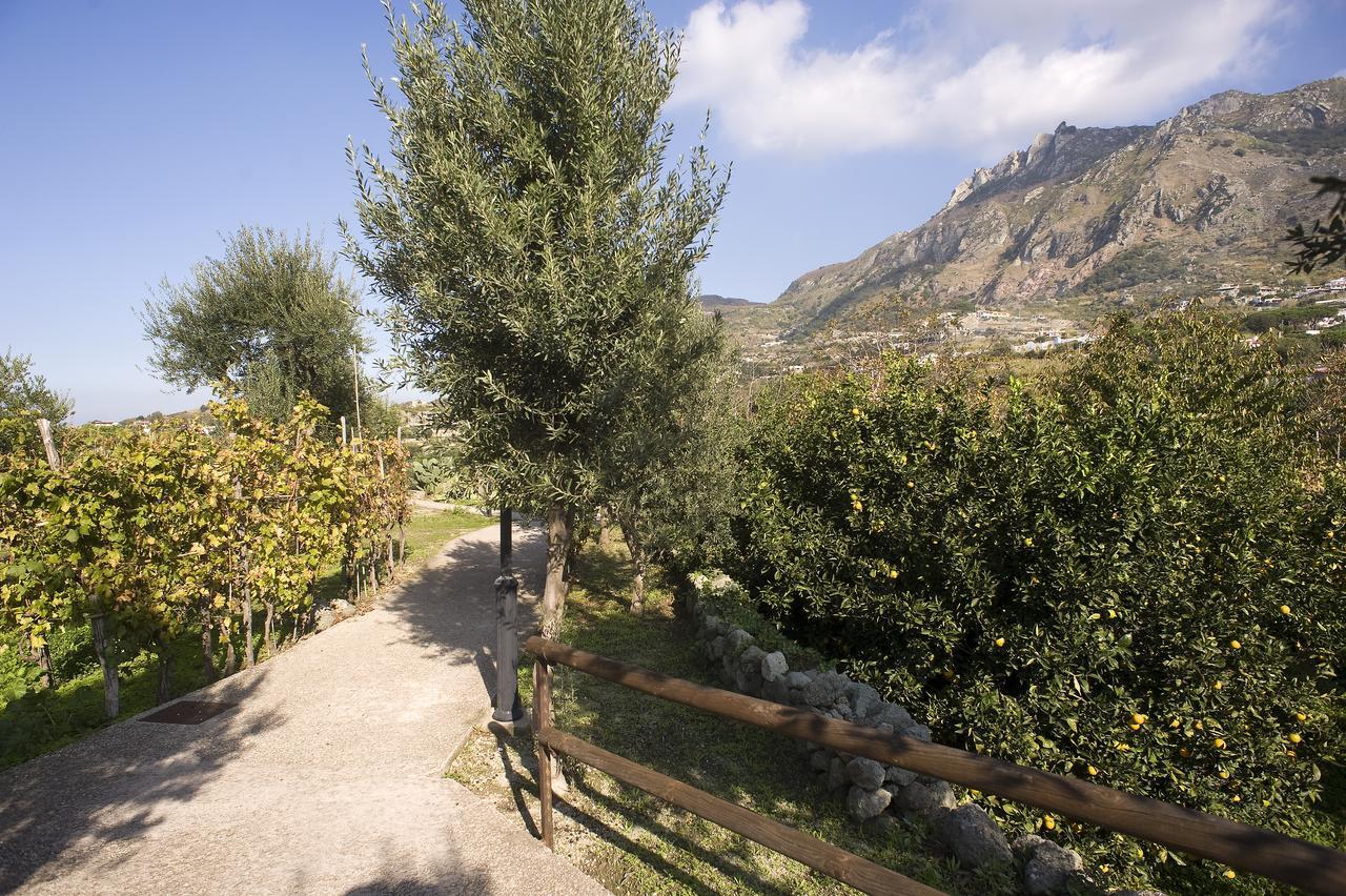 Park Hotel Terme Mediterraneo Forio  Luaran gambar